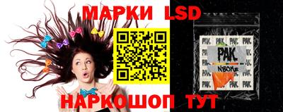 молекула духа Будённовск