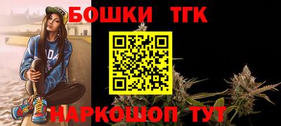 молекула духа Будённовск