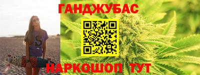 молекула духа Будённовск