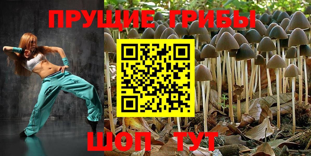 Псилоцибиновые грибы прущие грибы  Вход с VPN  Сарапул 